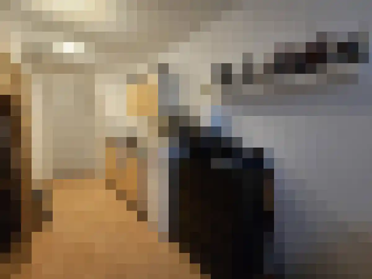 Bleekstraat 5 Breda thumbnail 4
