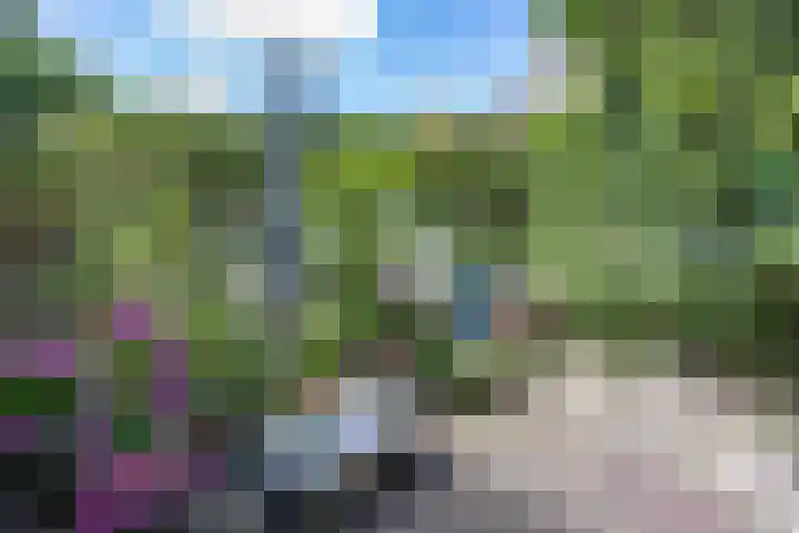 Bleekstraat 7 Makkum thumbnail 33