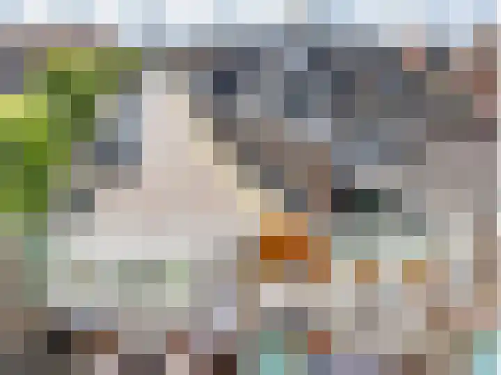 Bleekstraat 7 Makkum thumbnail 4