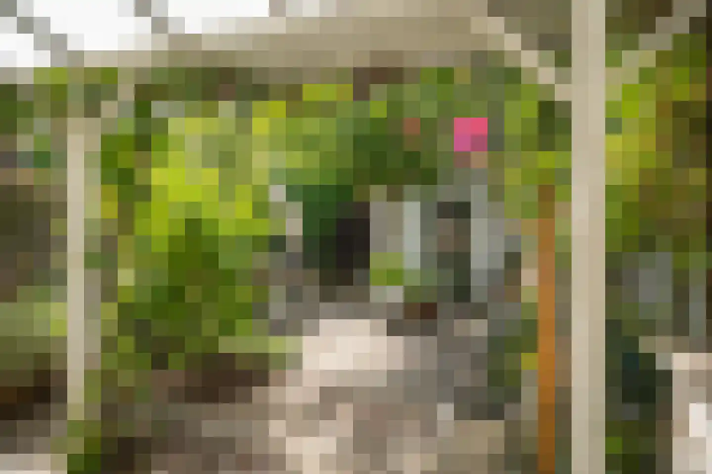 Bleekstraat 9 Vught thumbnail 28