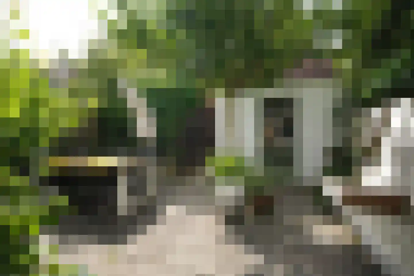 Bleekstraat 9 Vught thumbnail 33