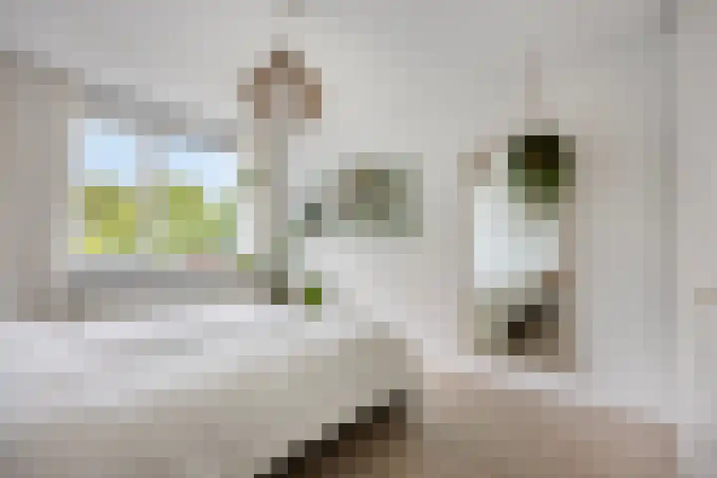 Bleekveld 2 Den Hoorn thumbnail 17