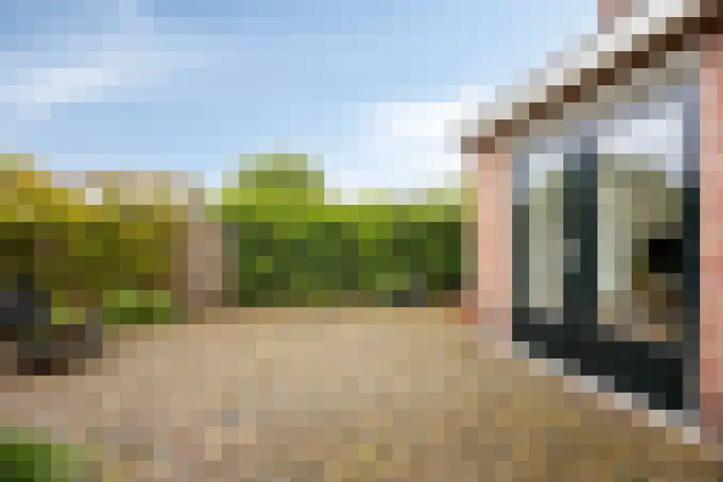 Bleekveld 2 Den Hoorn thumbnail 29