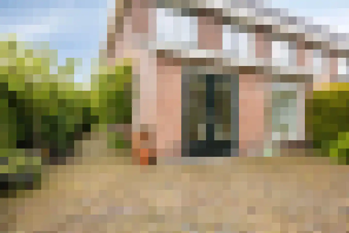 Bleekveld 2 Den Hoorn thumbnail 30