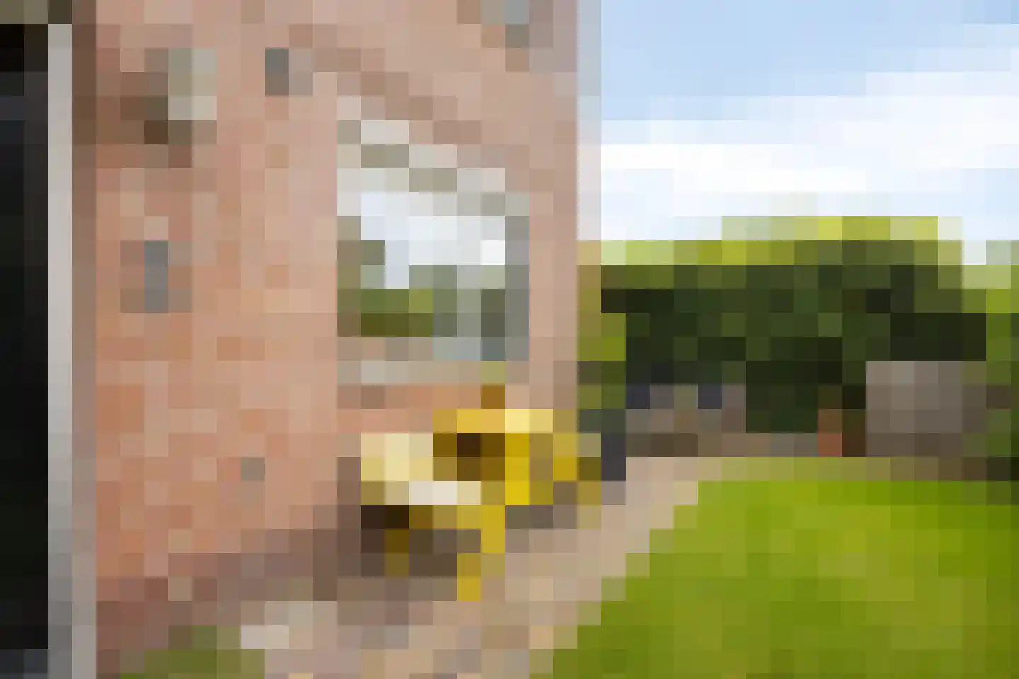 Bleekveld 2 Den Hoorn thumbnail 32
