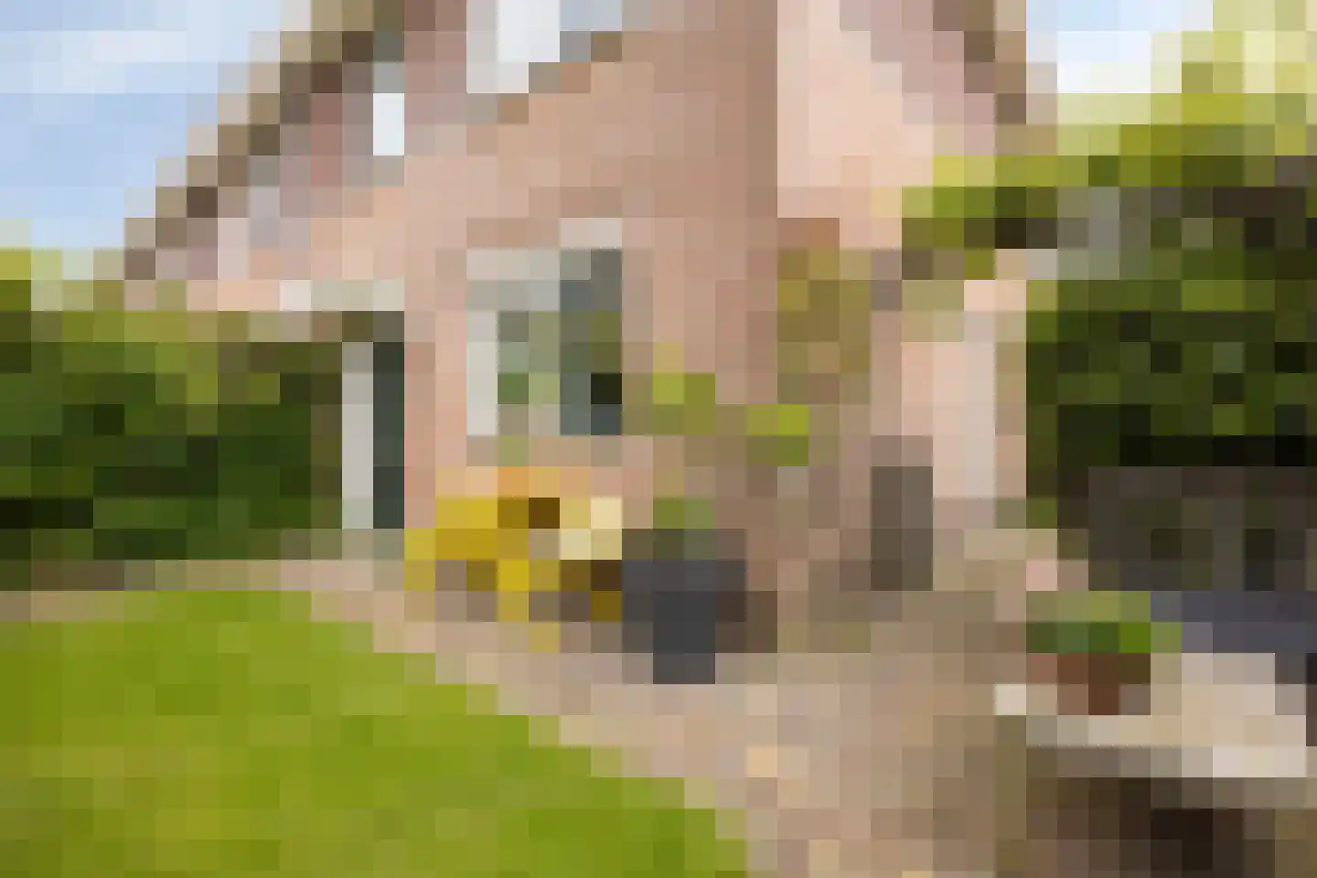 Bleekveld 2 Den Hoorn thumbnail 33