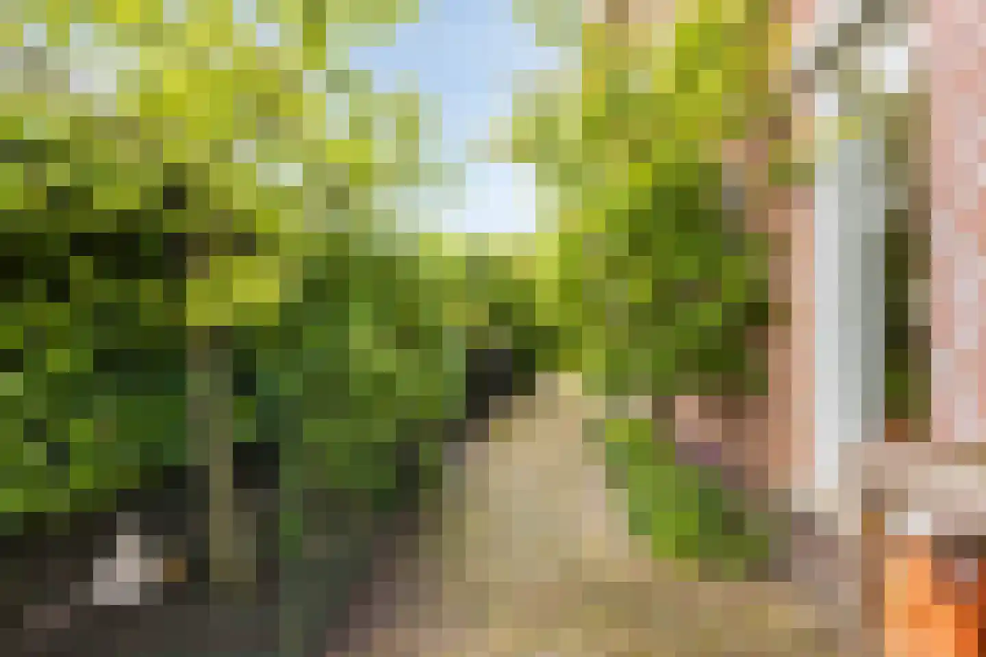 Bleekveld 2 Den Hoorn thumbnail 35