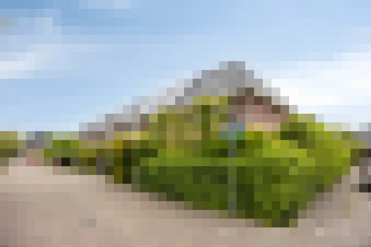 Bleekveld 2 Den Hoorn thumbnail 37