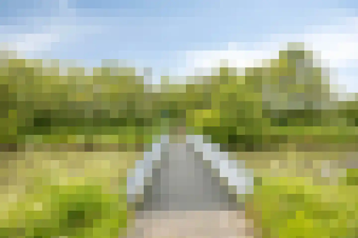 Bleekveld 2 Den Hoorn thumbnail 40