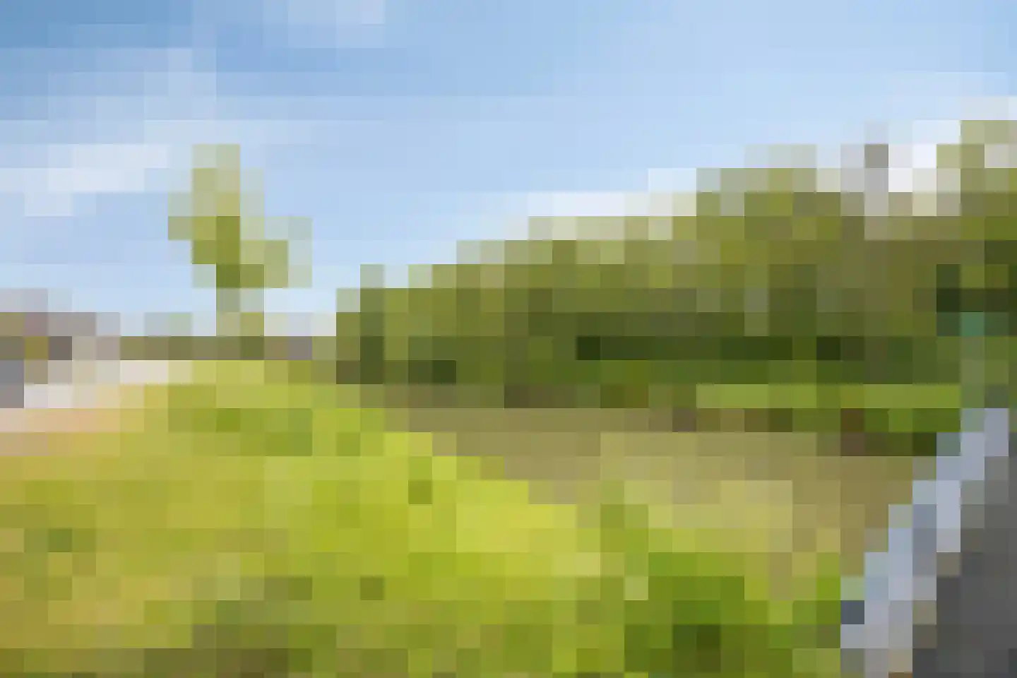 Bleekveld 2 Den Hoorn thumbnail 41