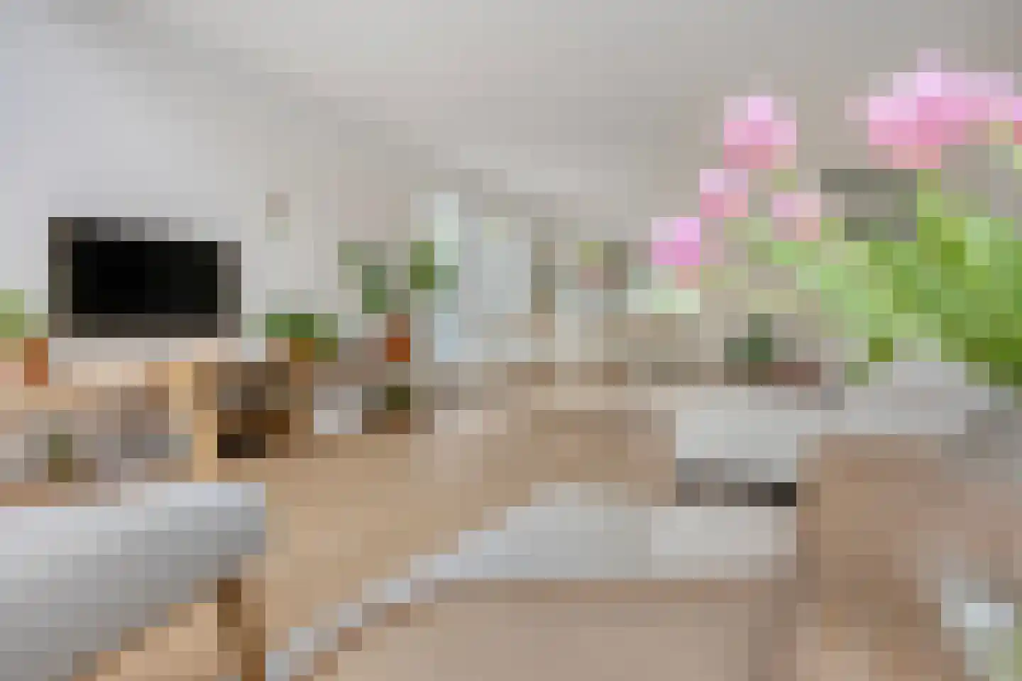 Bleekveld 2 Den Hoorn thumbnail 7