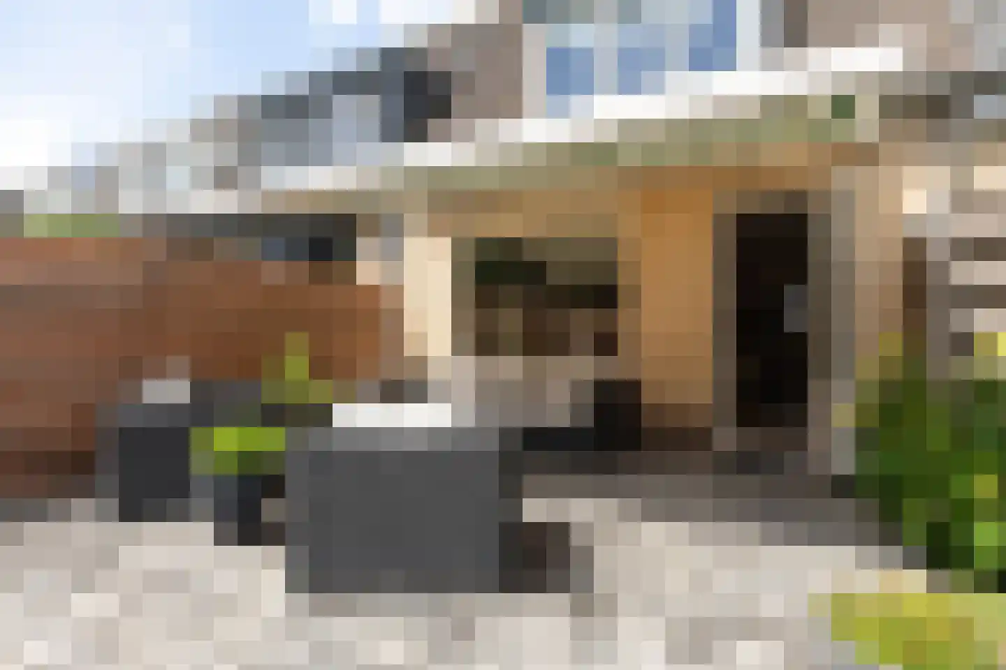 Bleekveld 22 Loosdrecht thumbnail 30