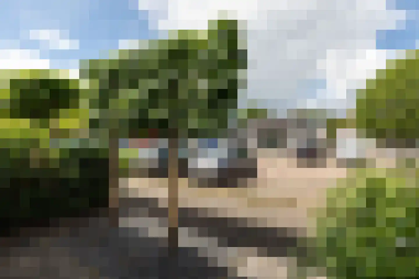 Bleekveld 22 Loosdrecht thumbnail 5