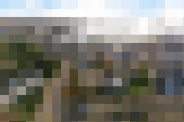 Bleekveld 4 Loosdrecht thumbnail 24
