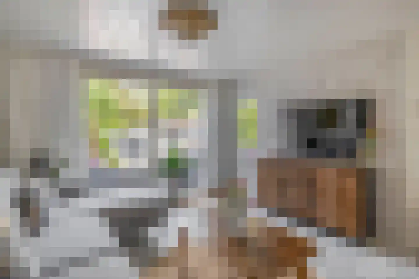 Bleekveld 8 Abbenbroek thumbnail 23