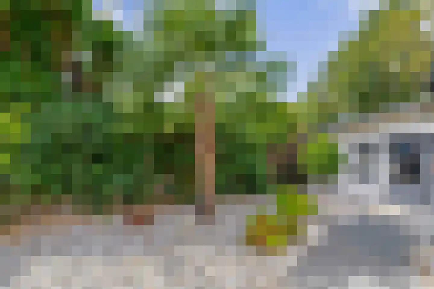 Bleekveld 8 Abbenbroek thumbnail 41