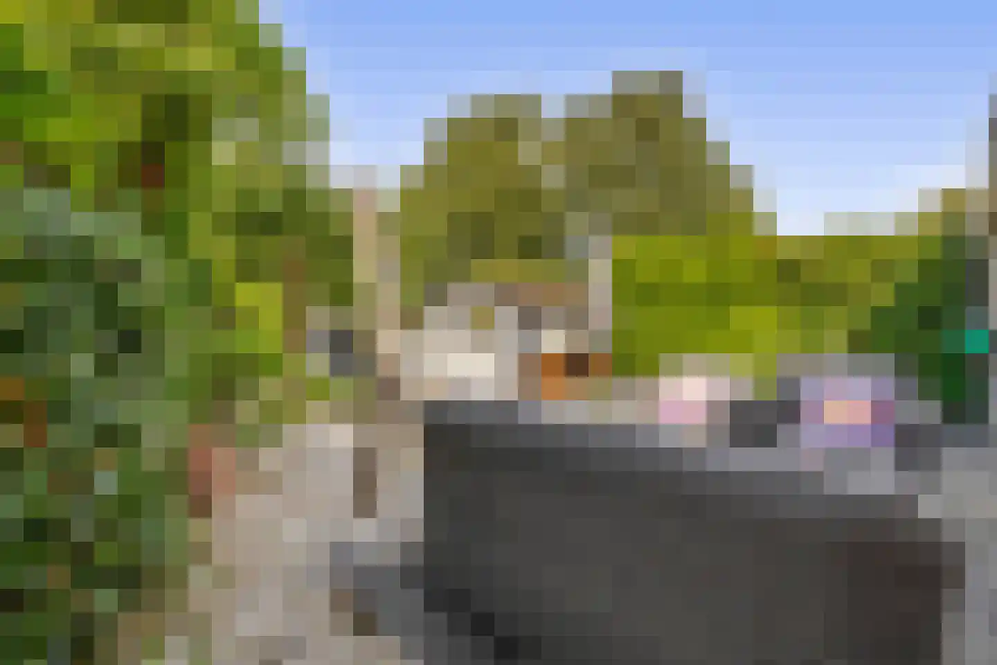 Bleekveld 8 Abbenbroek thumbnail 42
