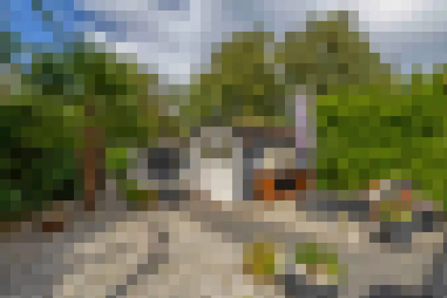 Bleekveld 8 Abbenbroek thumbnail 44