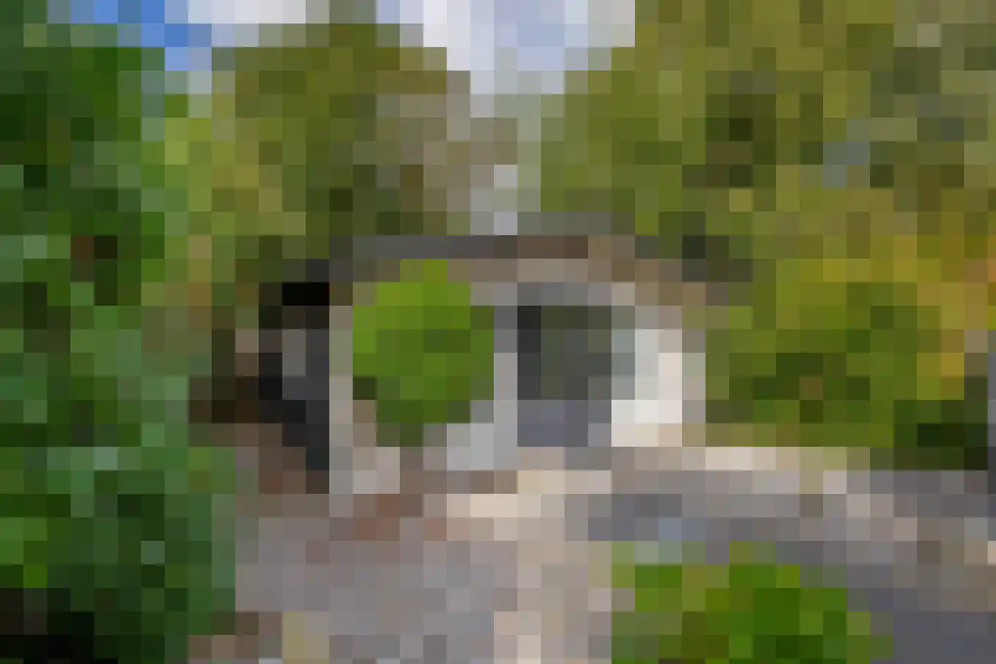 Bleekveld 8 Abbenbroek thumbnail 46