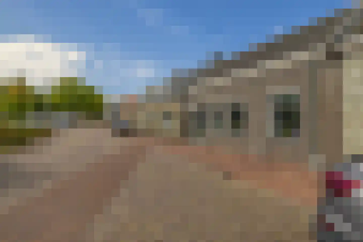 Bleekveld 8 Abbenbroek thumbnail 8