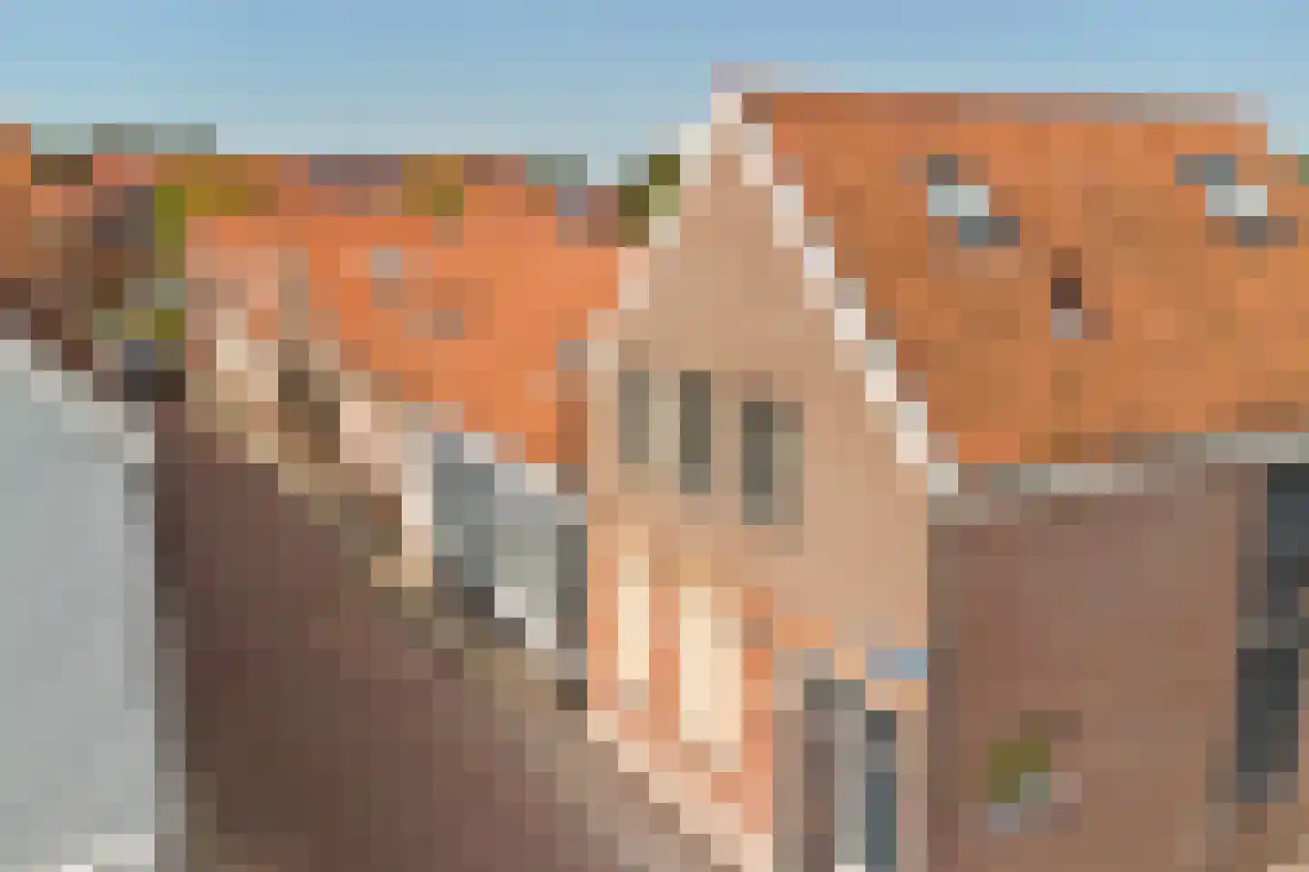 Bleekveldstraat 11 Sint-Maartensdijk thumbnail 37