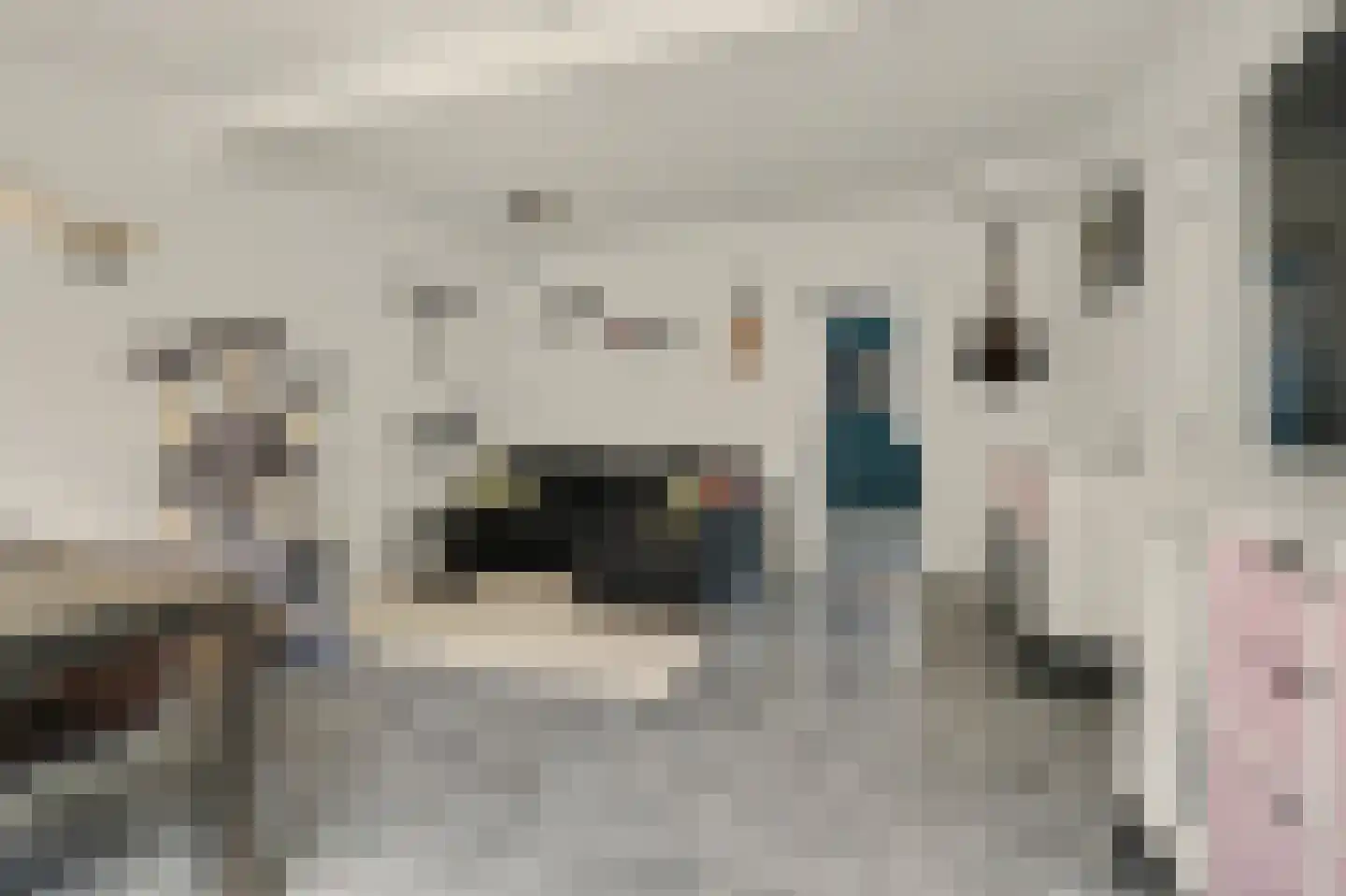 Bleekveldstraat 11 Sint-Maartensdijk thumbnail 4