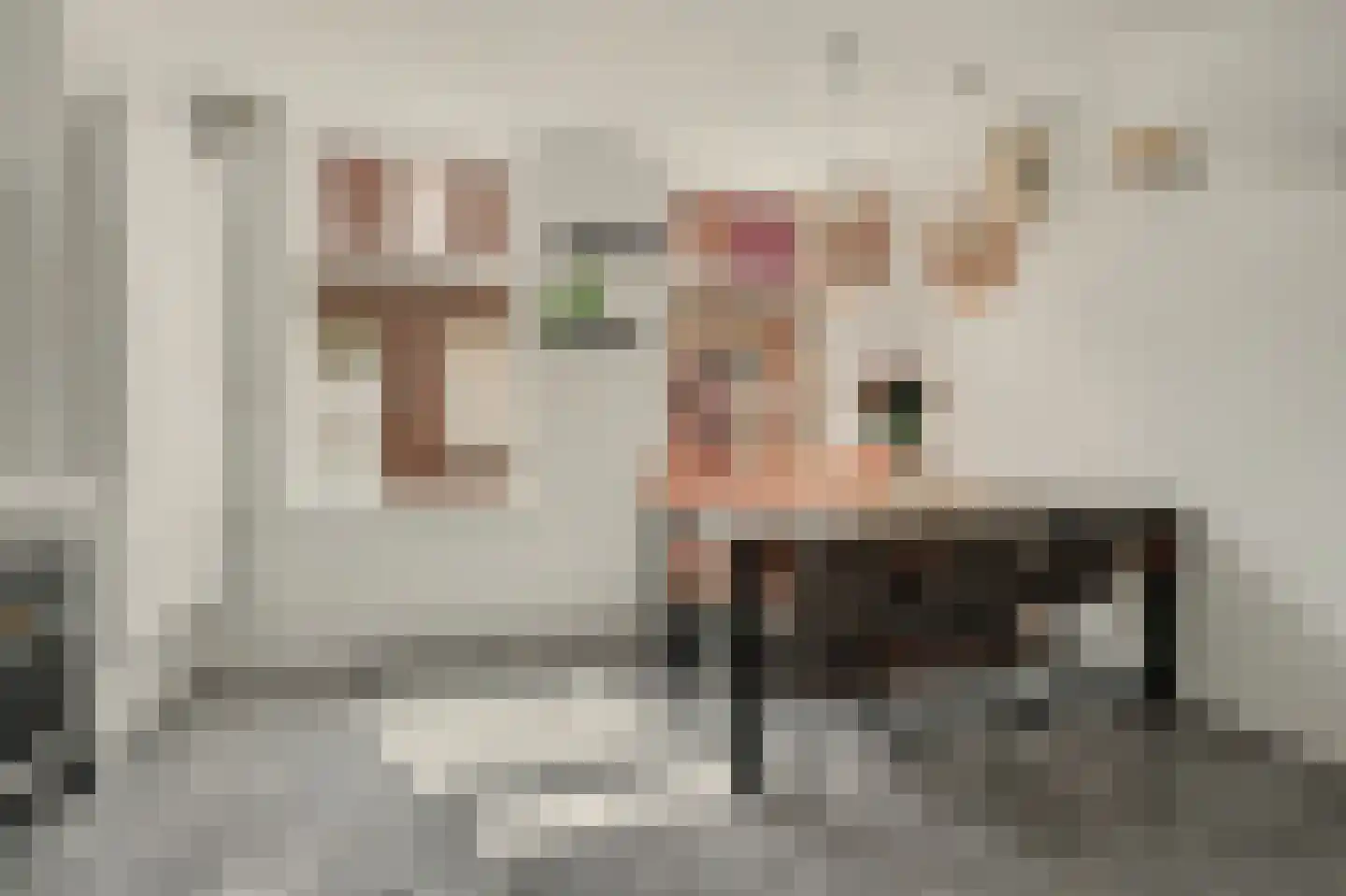 Bleekveldstraat 11 Sint-Maartensdijk thumbnail 9