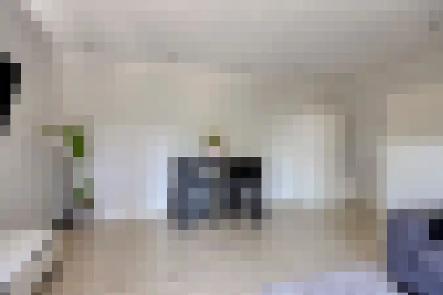 Bleekweg 17 Eindhoven thumbnail 18