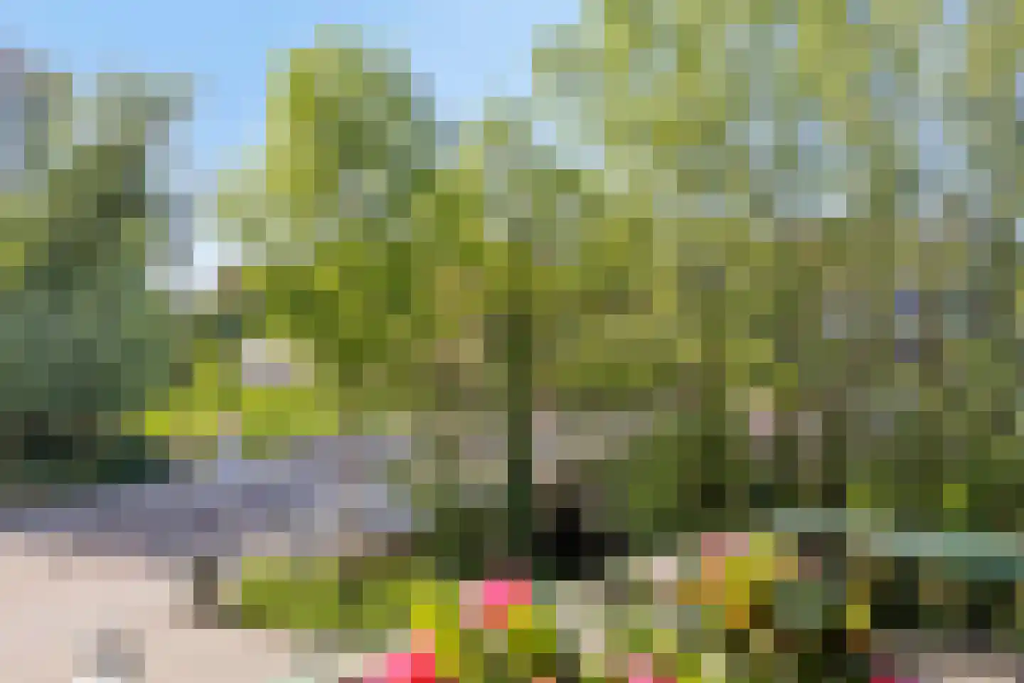 Bleekweg 17 Eindhoven thumbnail 33