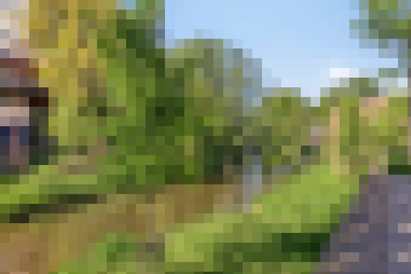 Bleekweg 17 Eindhoven thumbnail 35