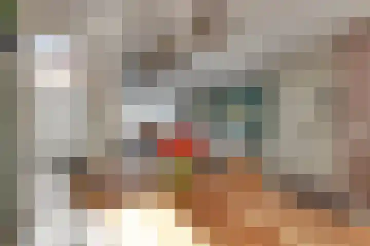 Bleekweg 20 Enschede thumbnail 18