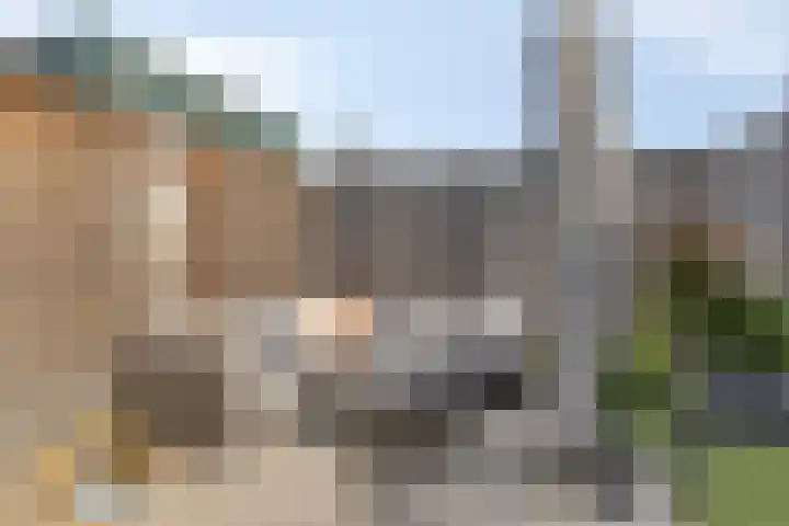Bleekweg 20 Enschede thumbnail 40