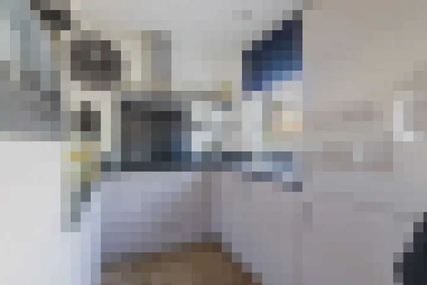 Bleekweg 21 Eindhoven thumbnail 21