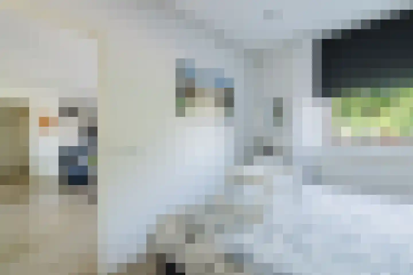 Bleekweg 21 Eindhoven thumbnail 29