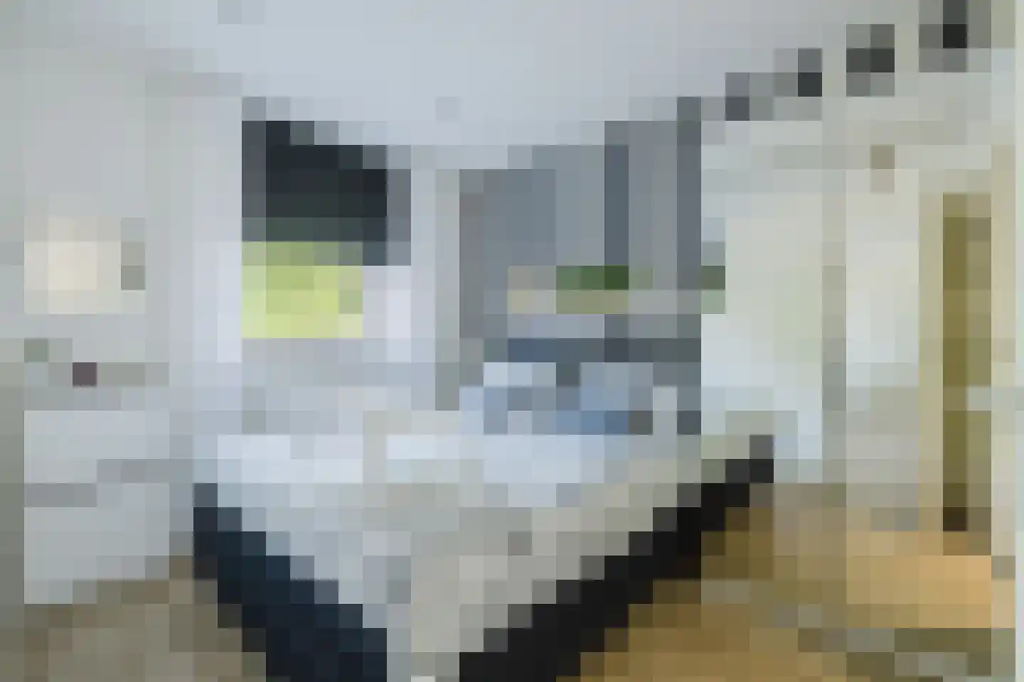 Bleekweg 21 Eindhoven thumbnail 4