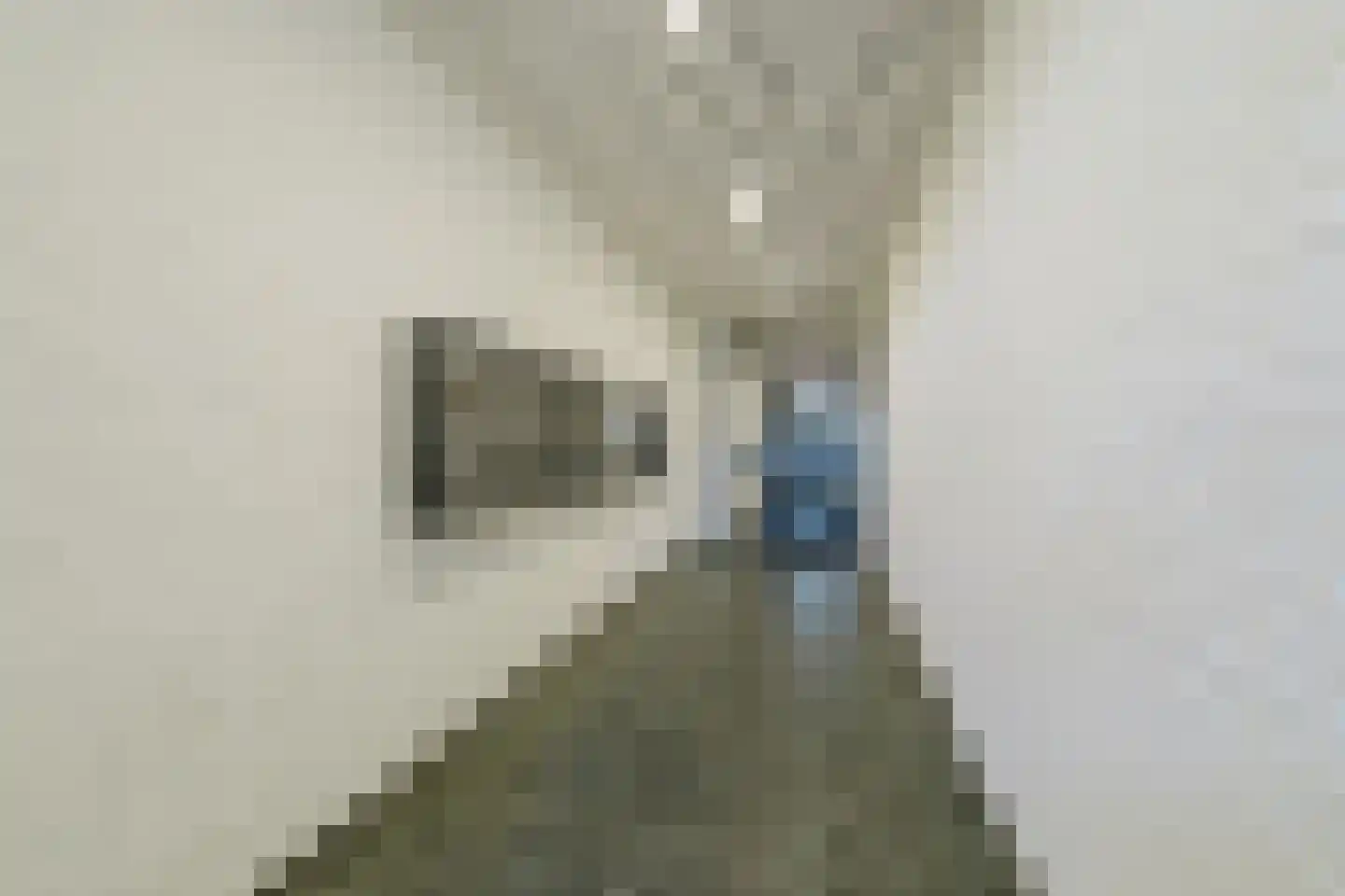 Bleekweg 21 Eindhoven thumbnail 40