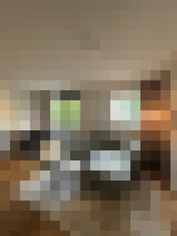 Bleekweg 23 Eindhoven thumbnail 5