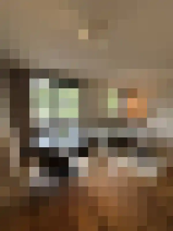 Bleekweg 23 Eindhoven thumbnail 6