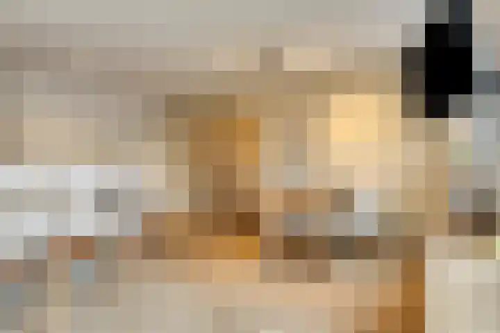 Bleekweg 47 Eindhoven thumbnail 15
