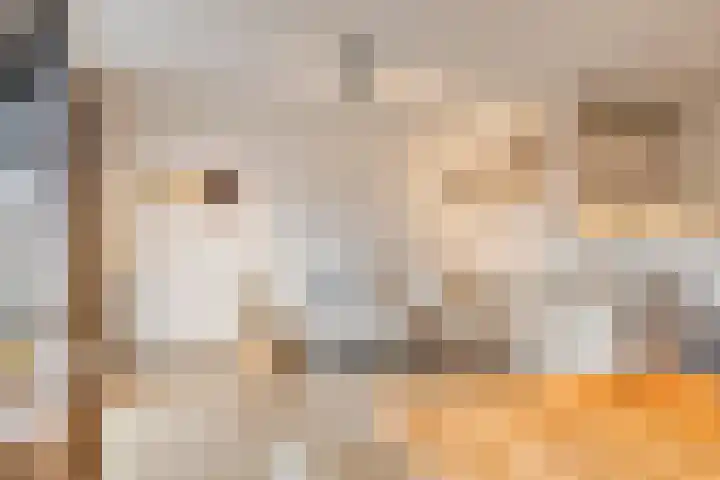 Bleekweg 47 Eindhoven thumbnail 16