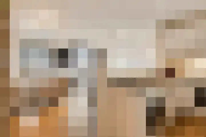 Bleekweg 47 Eindhoven thumbnail 18
