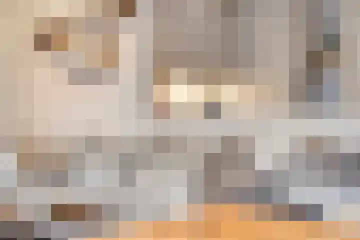 Bleekweg 47 Eindhoven thumbnail 21