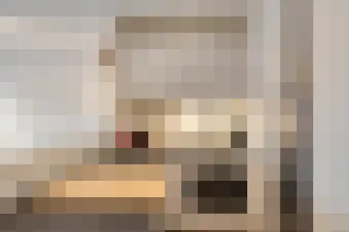 Bleekweg 47 Eindhoven thumbnail 23