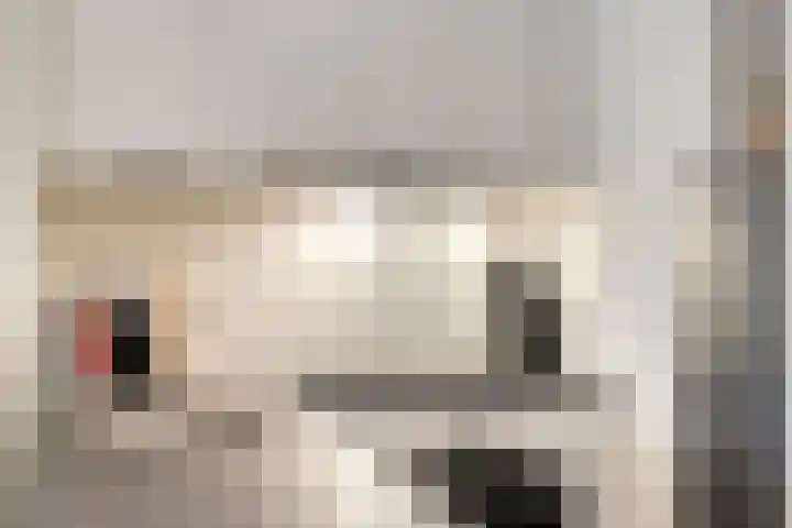 Bleekweg 47 Eindhoven thumbnail 25