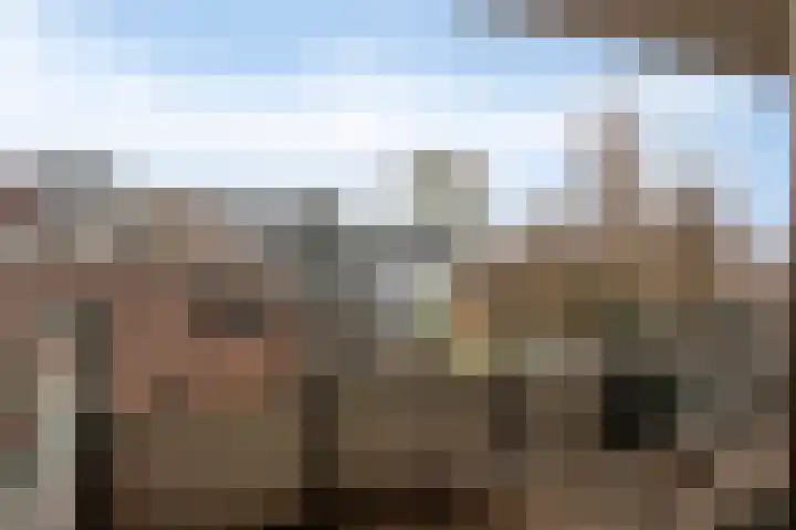 Bleekweg 47 Eindhoven thumbnail 26