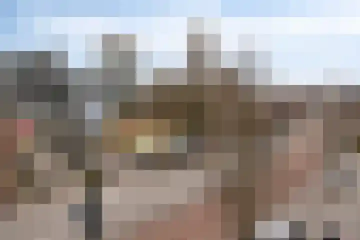 Bleekweg 47 Eindhoven thumbnail 29