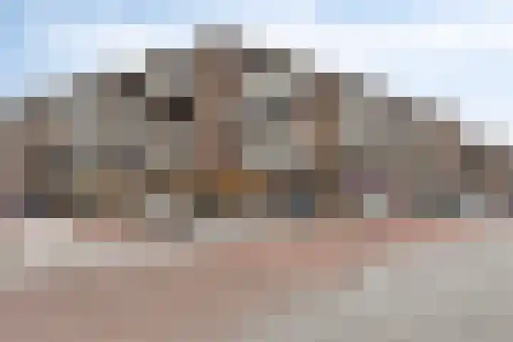 Bleekweg 47 Eindhoven thumbnail 35