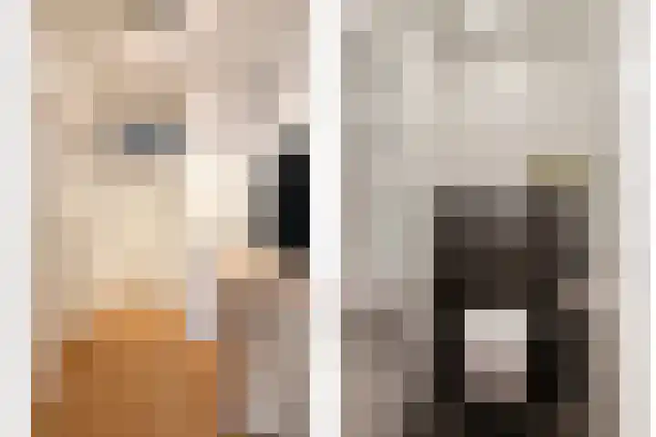 Bleekweg 47 Eindhoven thumbnail 38