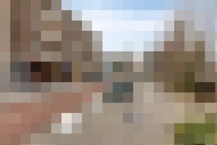 Bleekweg 47 Eindhoven thumbnail 4