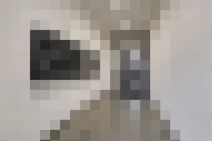 Bleekweg 47 Eindhoven thumbnail 6